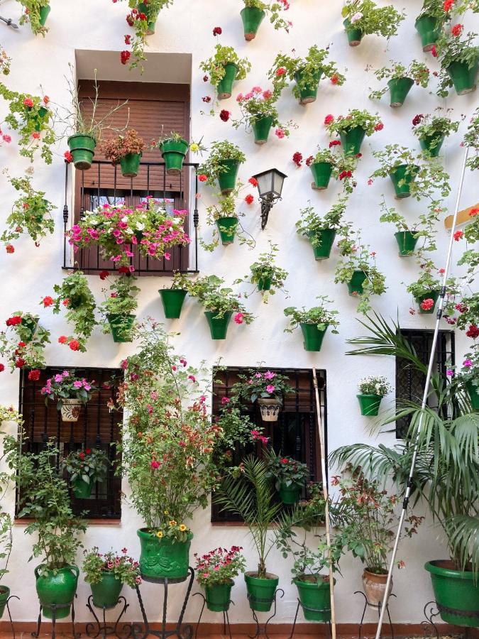 Apartamentos El Olivo Córdoba Exteriör bild